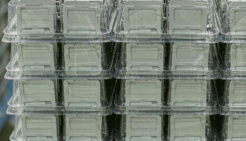 Mid Range Balanced Profit Vape packaging detail
